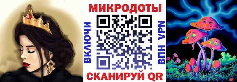 Псилоцибиновые грибы Psilocybe Евпатория